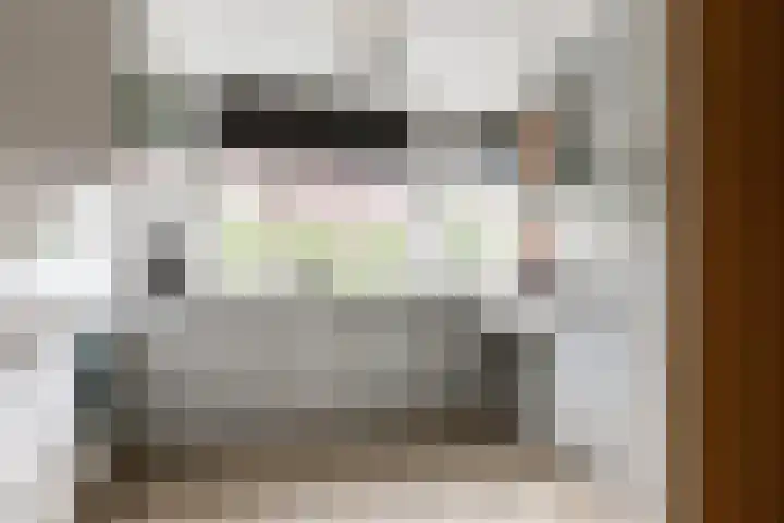 Theo Thijssensingel 22 Berkel en Rodenrijs thumbnail 13