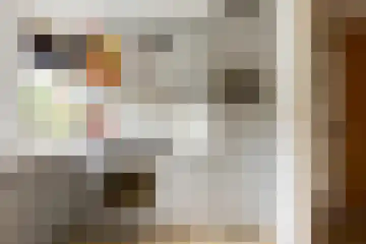 Theo Thijssensingel 22 Berkel en Rodenrijs thumbnail 14