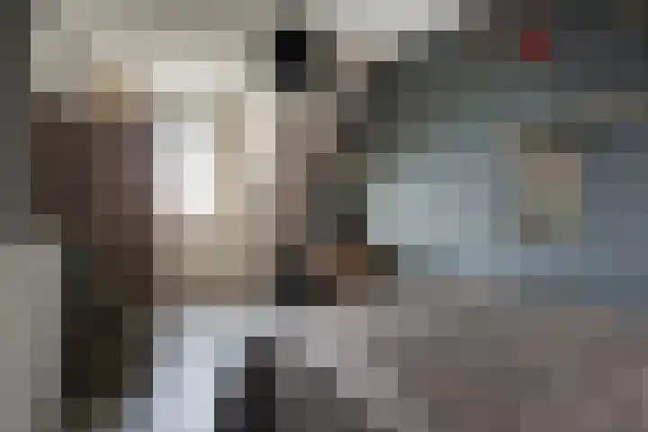 Theo Thijssensingel 22 Berkel en Rodenrijs thumbnail 17