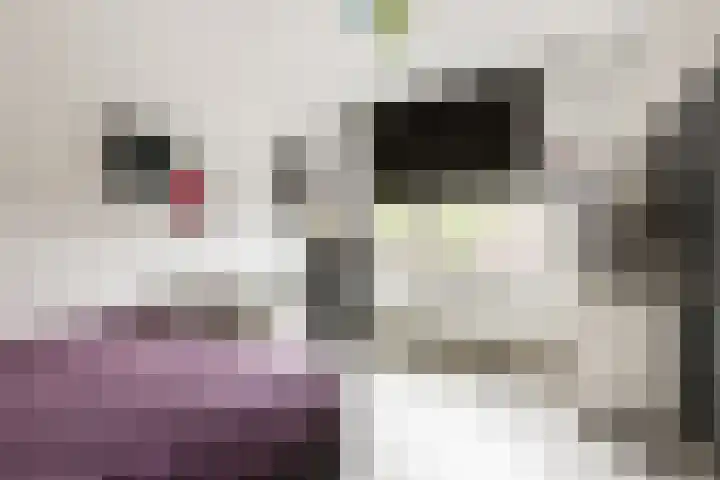 Theo Thijssensingel 22 Berkel en Rodenrijs thumbnail 20