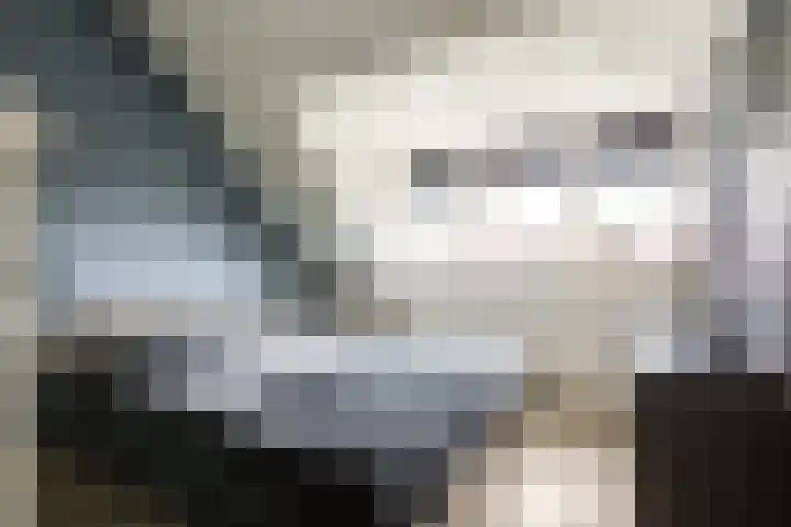 Theo Thijssensingel 22 Berkel en Rodenrijs thumbnail 27