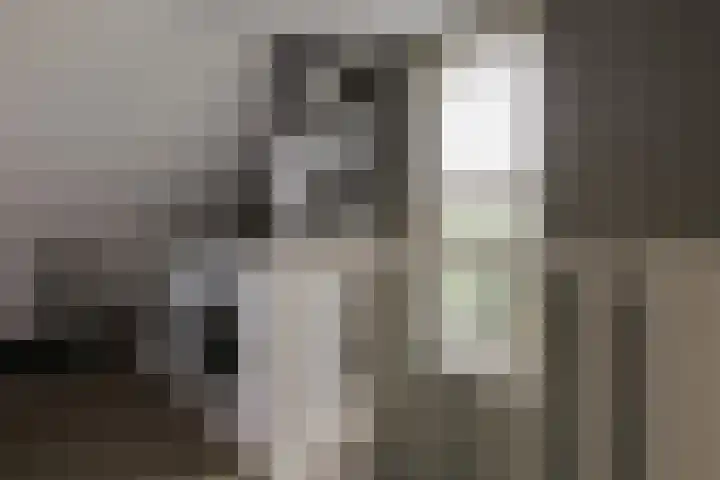 Theo Thijssensingel 22 Berkel en Rodenrijs thumbnail 28