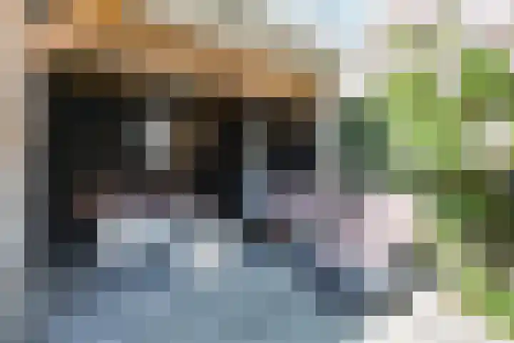 Theo Thijssensingel 22 Berkel en Rodenrijs thumbnail 33