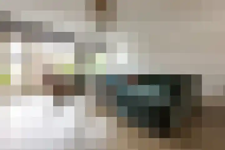 Theo Thijssensingel 22 Berkel en Rodenrijs thumbnail 7