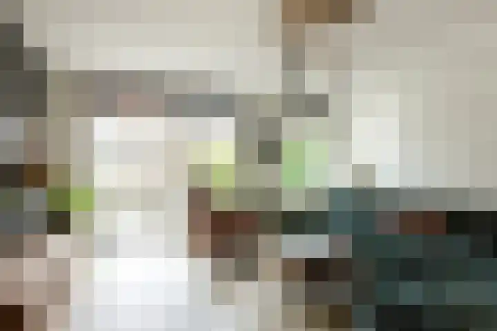 Theo Thijssensingel 22 Berkel en Rodenrijs thumbnail 8