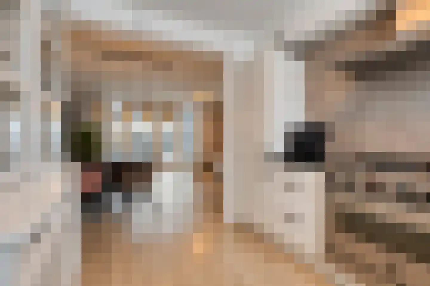 Theo Uden Masmanstraat 79 Amersfoort thumbnail 12