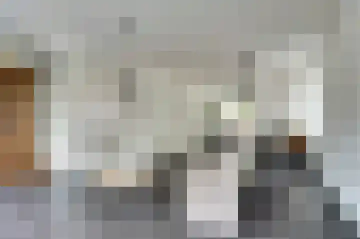 Theo van Delftstraat 22 Raamsdonksveer thumbnail 10