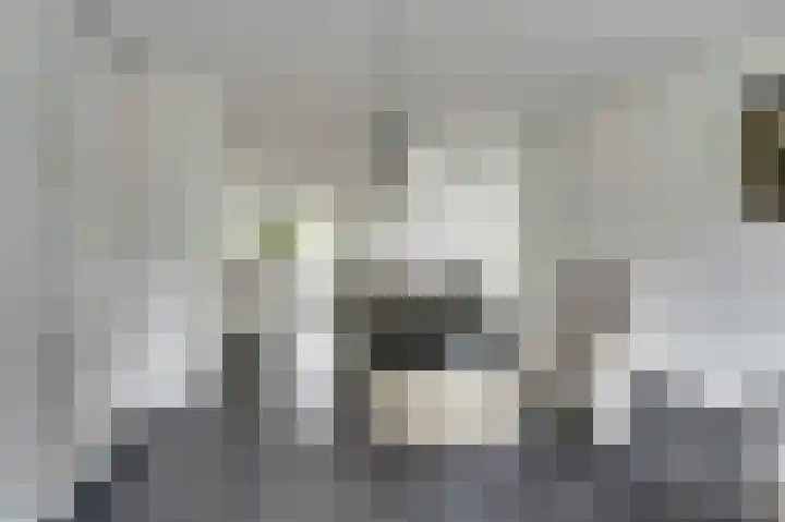 Theo van Delftstraat 22 Raamsdonksveer thumbnail 11