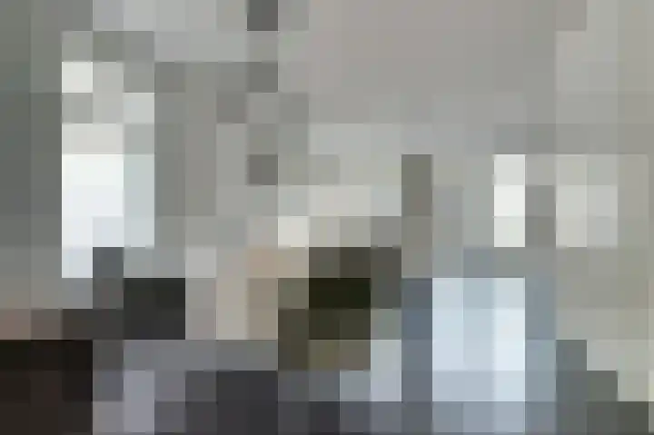 Theo van Delftstraat 22 Raamsdonksveer thumbnail 12