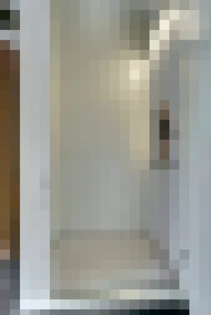 Theo van Delftstraat 22 Raamsdonksveer thumbnail 17
