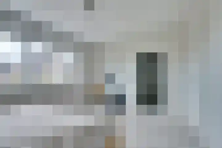 Theo van Delftstraat 22 Raamsdonksveer thumbnail 21