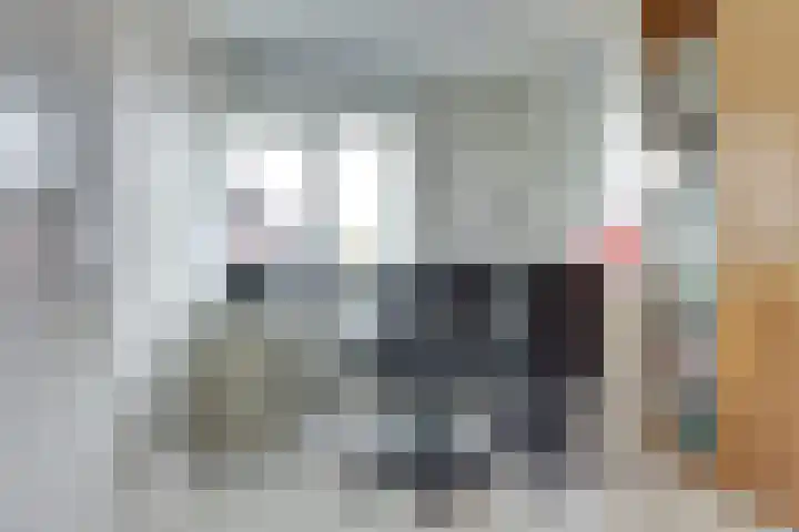 Theo van Delftstraat 22 Raamsdonksveer thumbnail 27