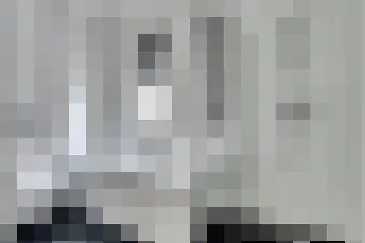 Theo van Delftstraat 22 Raamsdonksveer thumbnail 29