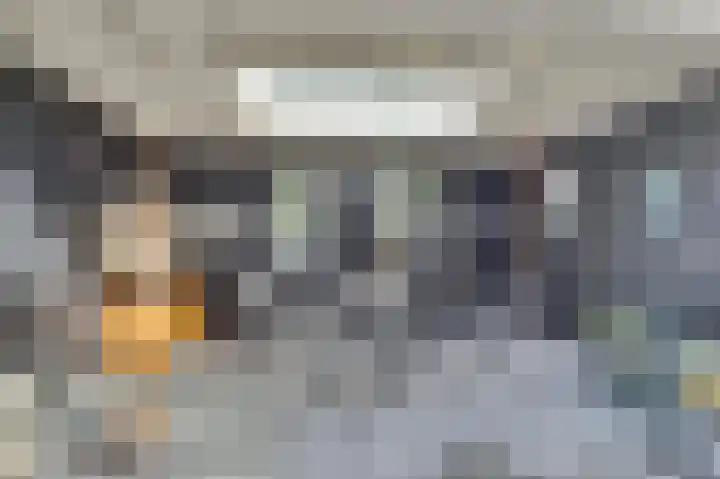 Theo van Delftstraat 22 Raamsdonksveer thumbnail 33