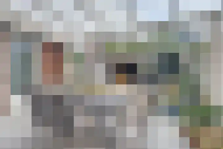 Theo van Delftstraat 22 Raamsdonksveer thumbnail 35