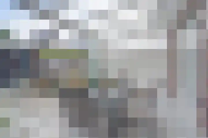 Theo van Delftstraat 22 Raamsdonksveer thumbnail 36
