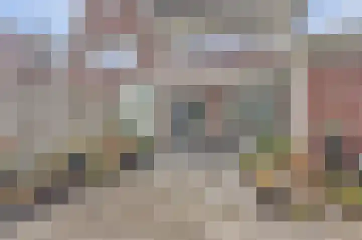 Theo van Delftstraat 22 Raamsdonksveer thumbnail 37