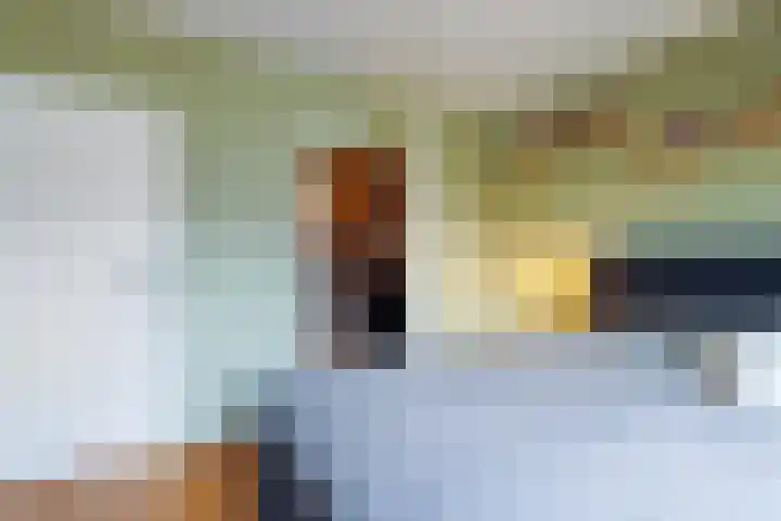 Theo van Delftstraat 6 Waalwijk thumbnail 27