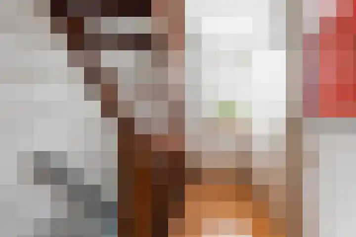 Theo van Delftstraat 6 Waalwijk thumbnail 34