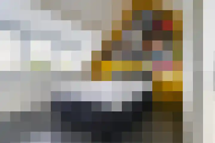 Theo van Delftstraat 6 Waalwijk thumbnail 36
