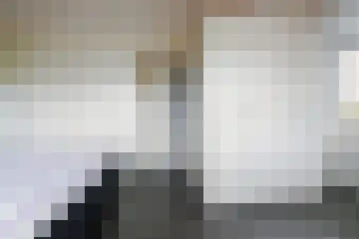 Theo van Delftstraat 6 Waalwijk thumbnail 38