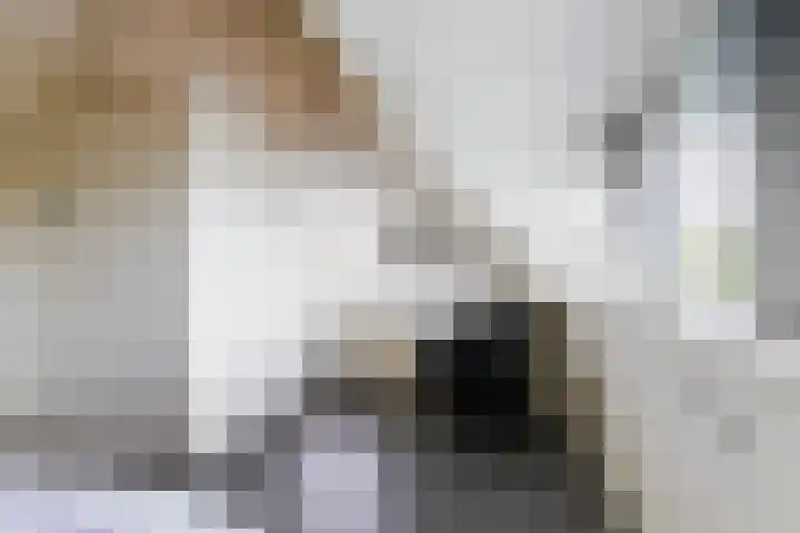 Theo van Delftstraat 6 Waalwijk thumbnail 39