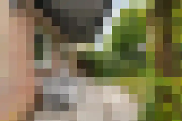 Theo van Delftstraat 6 Waalwijk thumbnail 41
