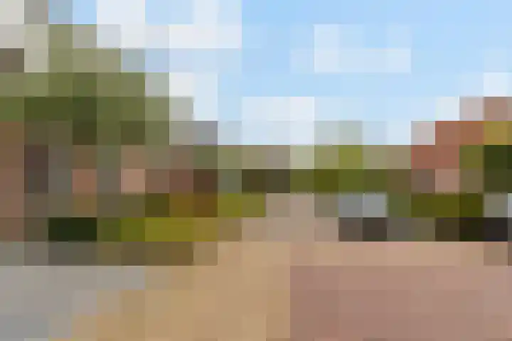 Theo van Delftstraat 6 Waalwijk thumbnail 49