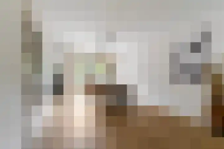 Theo van Delftstraat 6 Waalwijk thumbnail 8