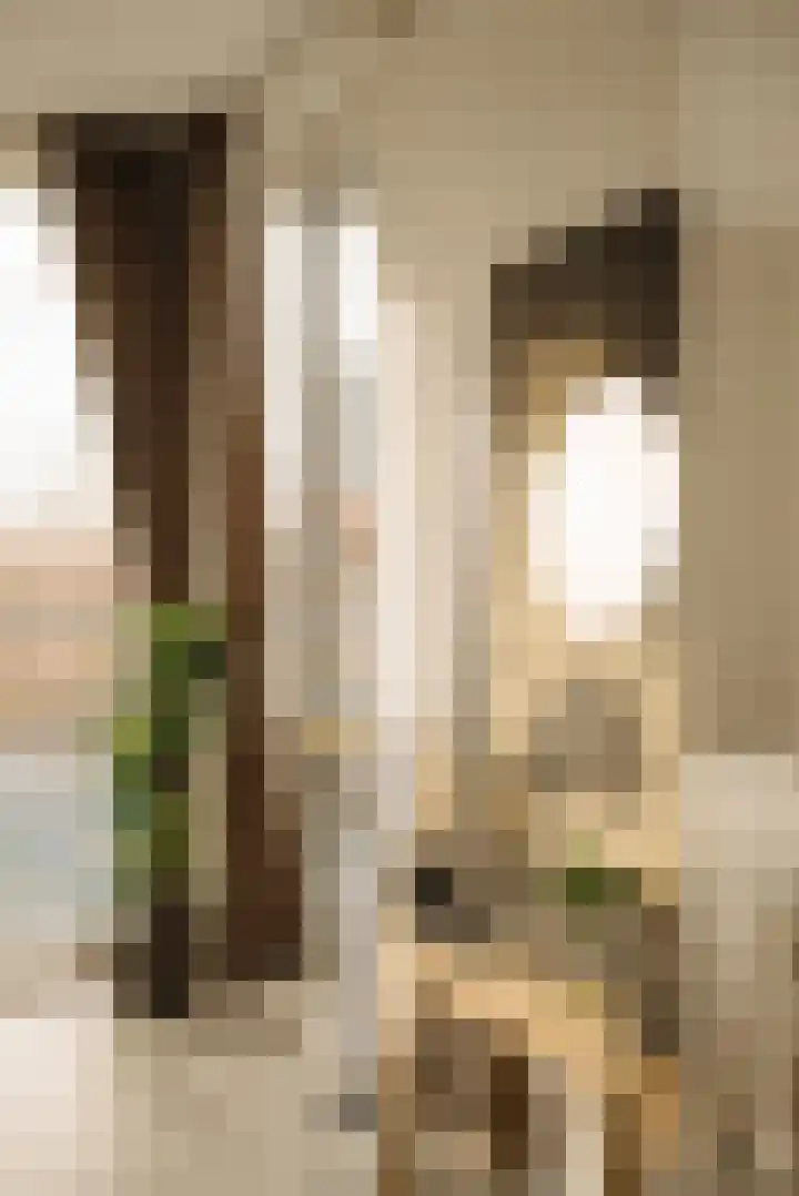 Theo van Doesburghof 96 Diemen thumbnail 11