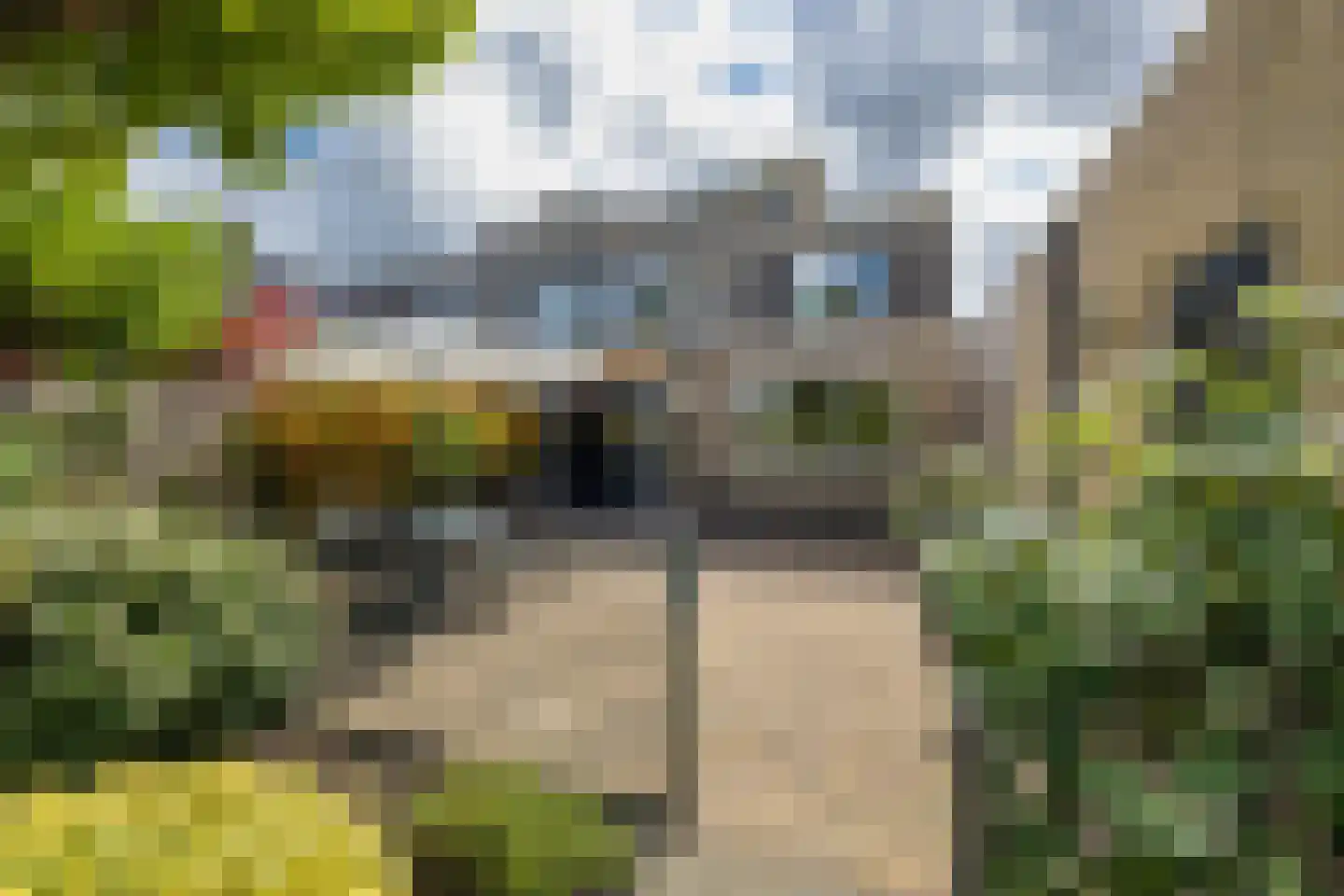 Theo van Doesburglaan 11 Oegstgeest thumbnail 24
