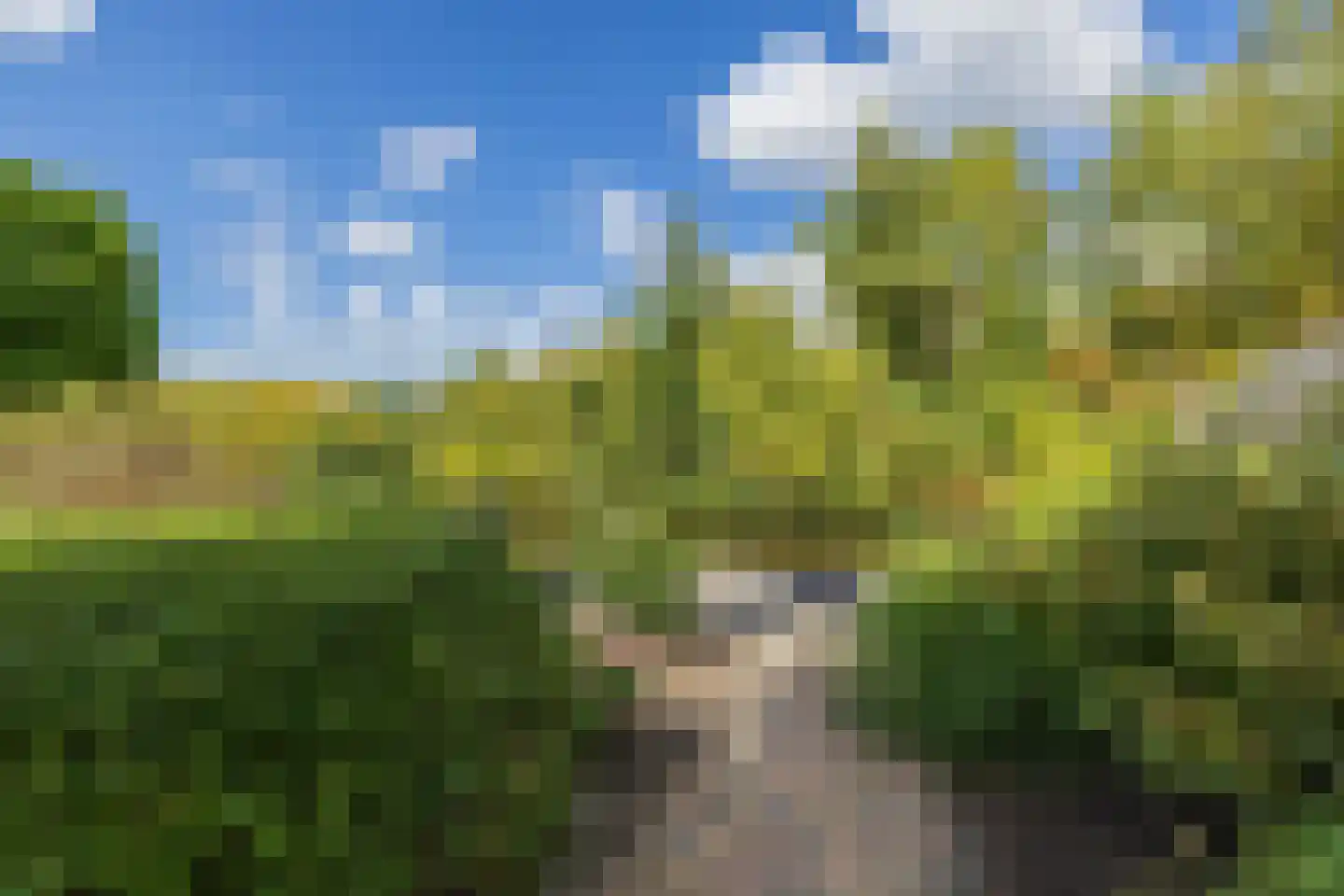 Theo van Doesburglaan 11 Oegstgeest thumbnail 26