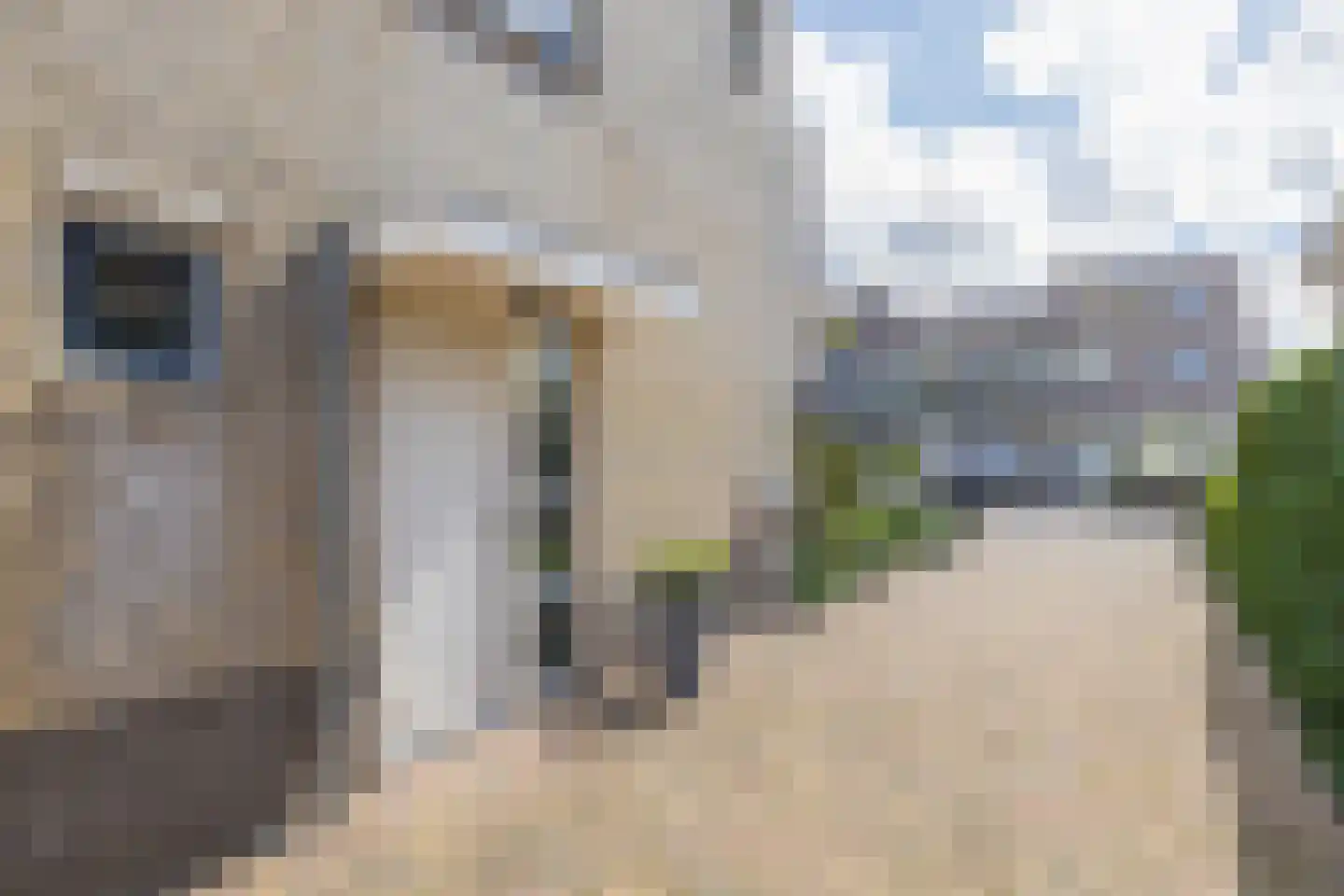 Theo van Doesburglaan 11 Oegstgeest thumbnail 5