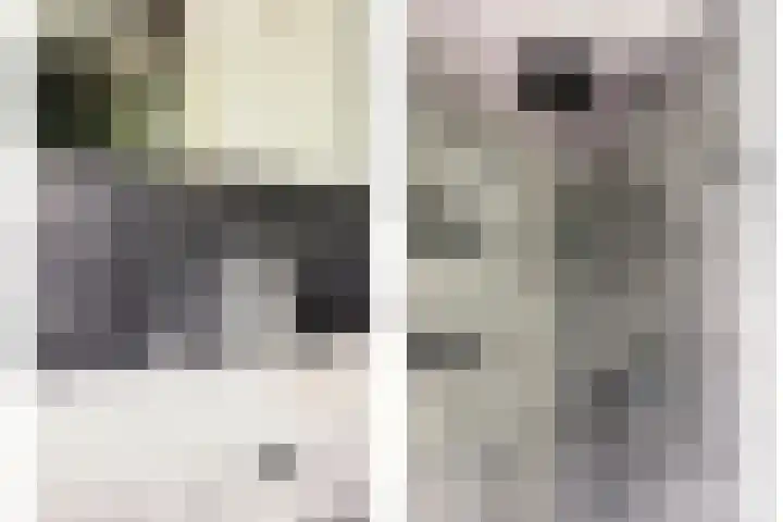 Theo van Doesburgplantsoen 8 Meppel thumbnail 22