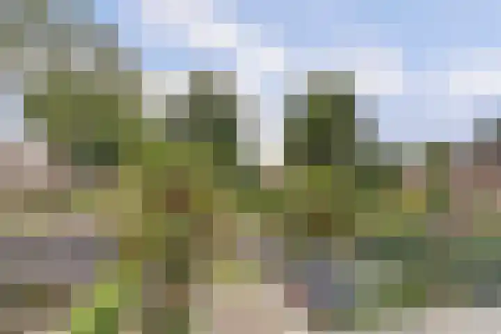 Theo van Doesburgplantsoen 8 Meppel thumbnail 27