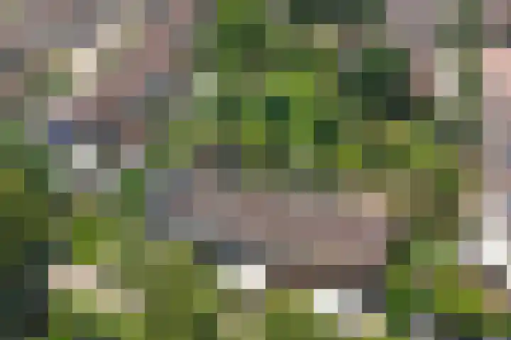 Theo van Doesburgplantsoen 8 Meppel thumbnail 33