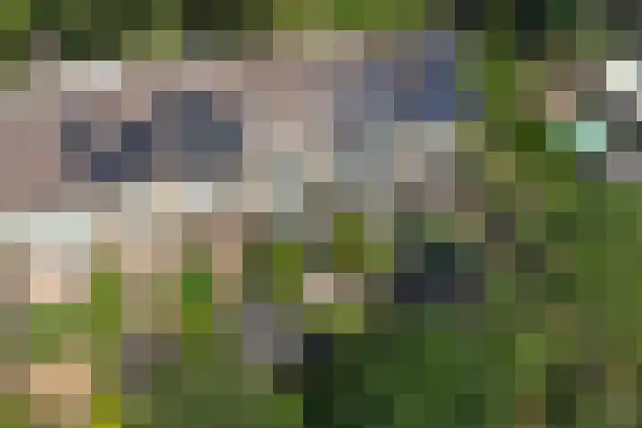 Theo van Doesburgplantsoen 8 Meppel thumbnail 36
