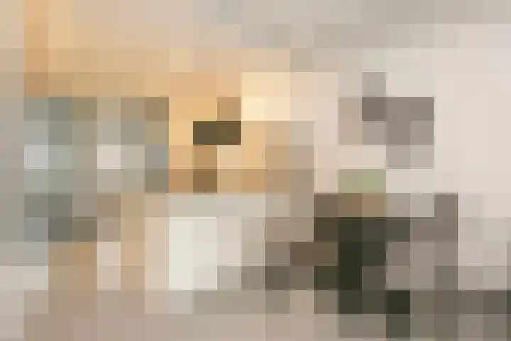 Theo van Doesburgstraat 105 Utrecht thumbnail 5