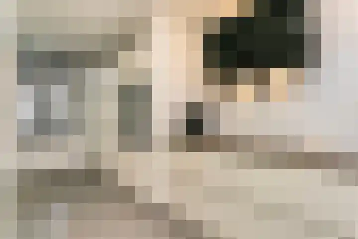 Theo van Doesburgstraat 105 Utrecht thumbnail 8