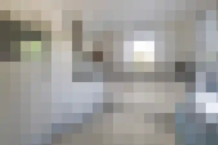 Theo van Doesburgstraat 14 Drachten thumbnail 17