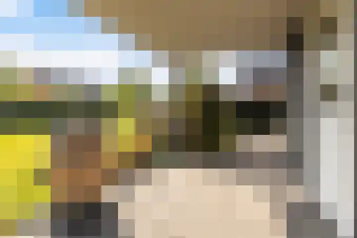 Theo van Doesburgstraat 14 Drachten thumbnail 43