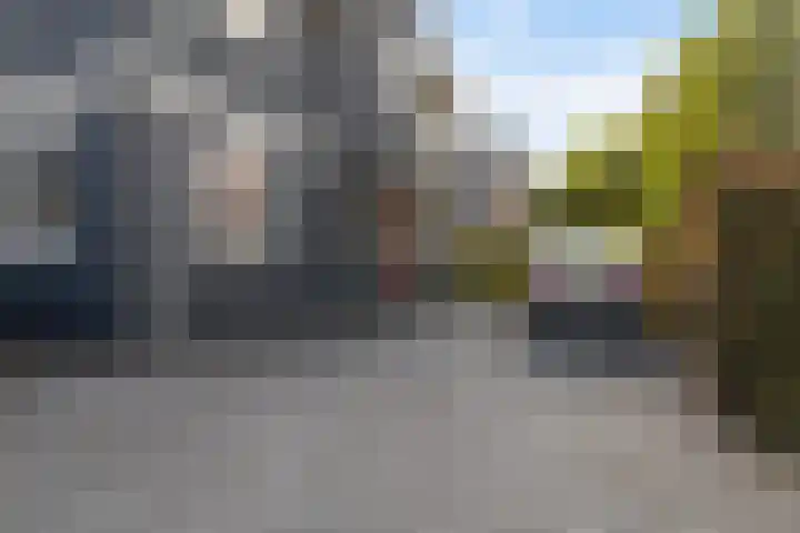 Theo van Doesburgstraat 14 Drachten thumbnail 51
