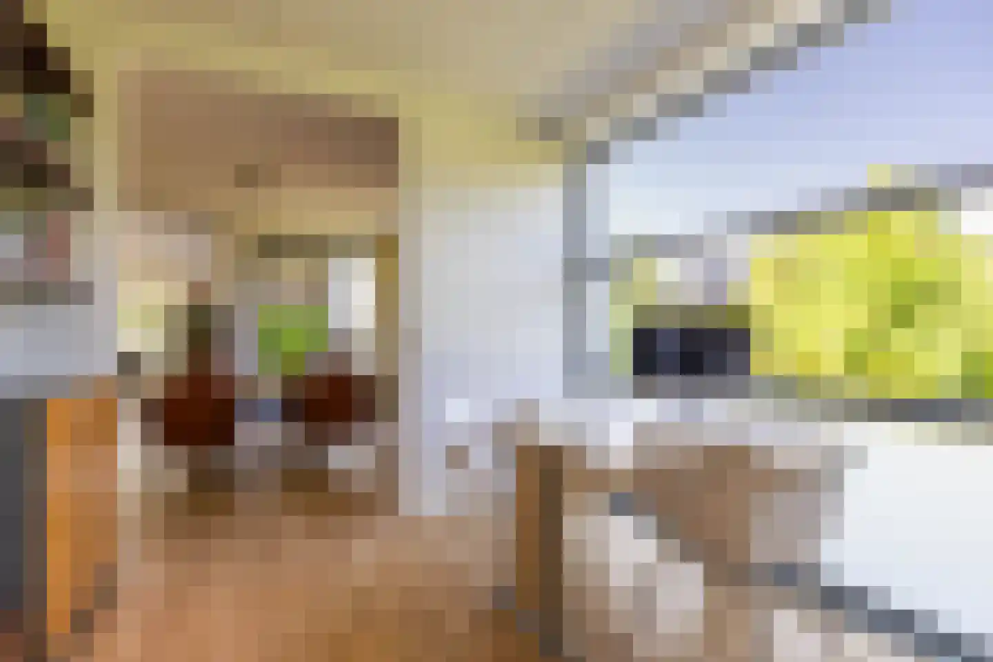 Theo van Doesburgstraat 63 Drachten thumbnail 26