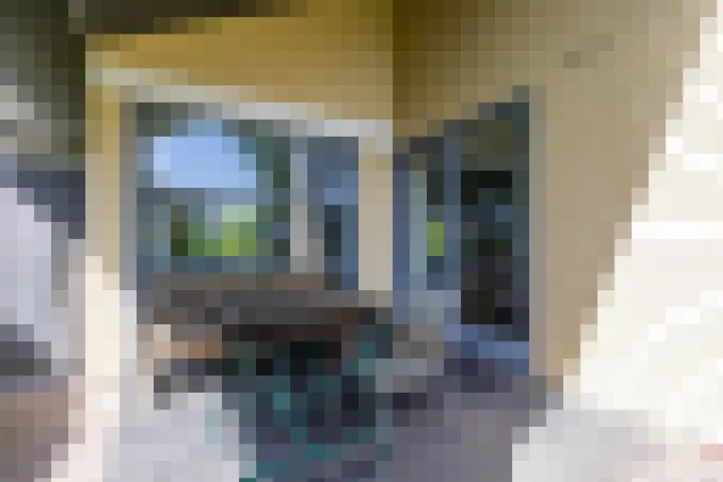 Theo van Doesburgstraat 63 Drachten thumbnail 53