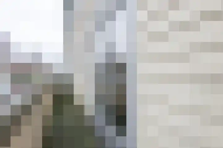 Theo van Doesburgstraat 63 Utrecht thumbnail 32