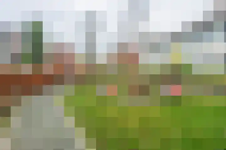 Theo van Doesburgstraat 63 Utrecht thumbnail 40