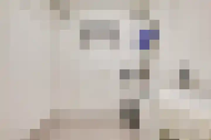 Theo van Doesburgstraat 73 Utrecht thumbnail 37
