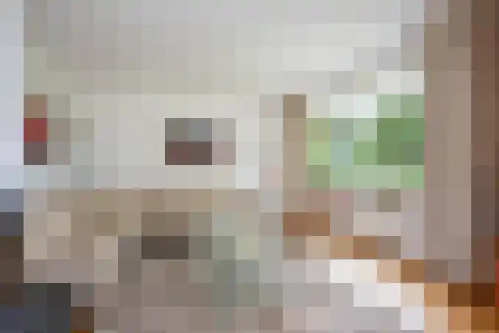 Theo van Loonstraat 25 Hengelo thumbnail 10
