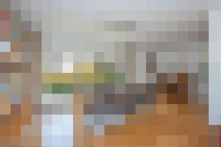 Theo van Loonstraat 25 Hengelo thumbnail 12