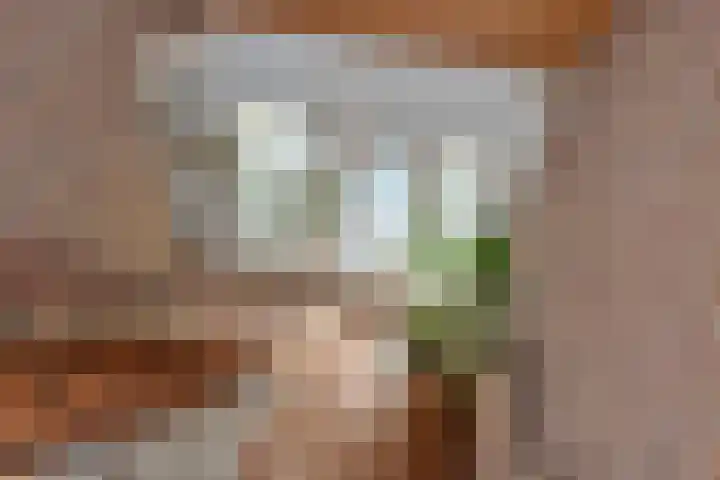 Theo van Loonstraat 25 Hengelo thumbnail 23